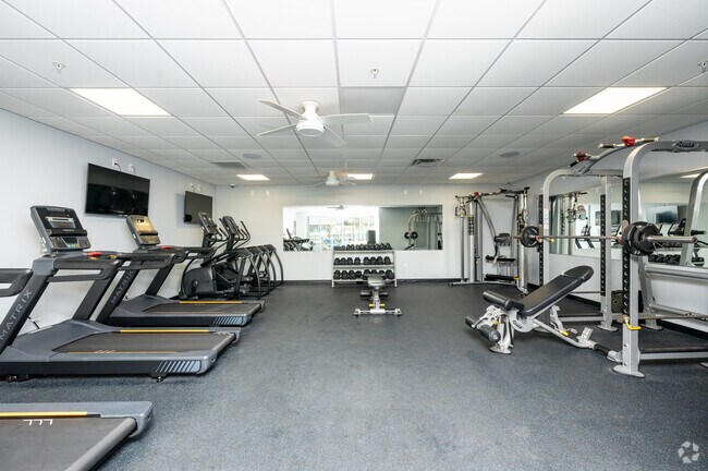 Gimnasio - The E'Laan