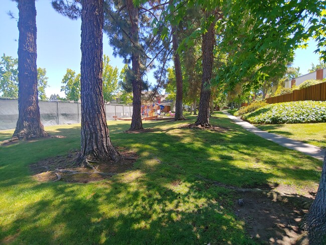 Building Photo - 20216 Northbrook Sq