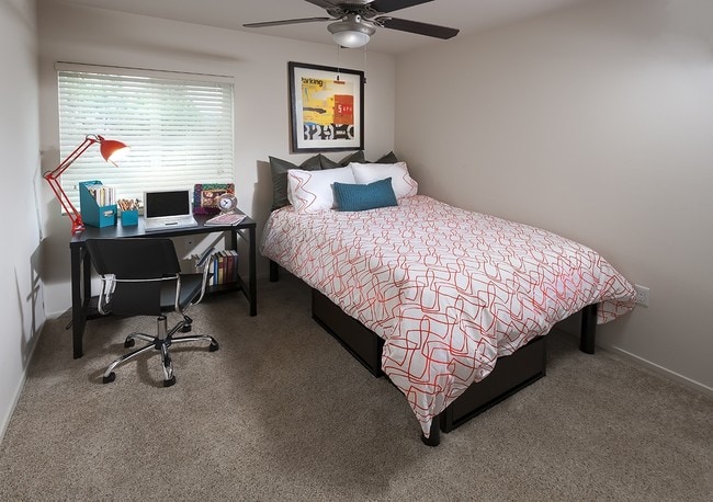 Interior Photo - Zuma