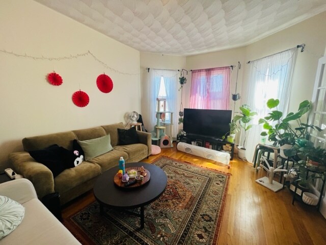 Primary Photo - 40 Litchfield St