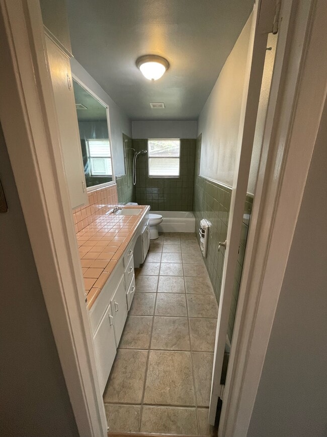 Hallway Bathroom - 735 S Palmer Ave