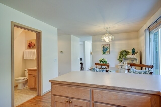 Foto del edificio - 3 Bedroom in Shannon Forest