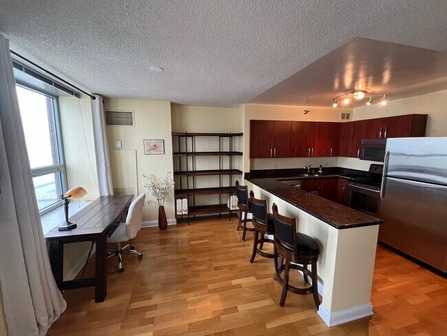 Living Area and Kitchen - 474 N Lake Shore Dr