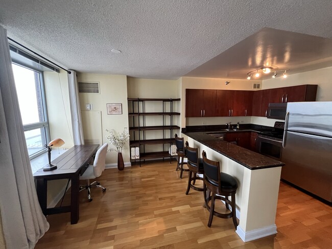 Living Area and Kitchen - 474 N Lake Shore Dr