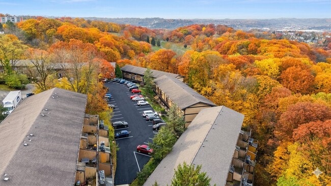 Building Photo - Village in the Park Apartments
