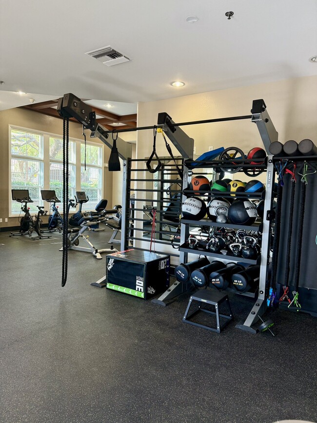 State of the art Fitness Center with Functional Training - Mediterra Apartment Homes