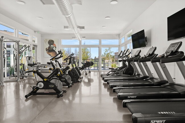 Gym - Magnesium Village