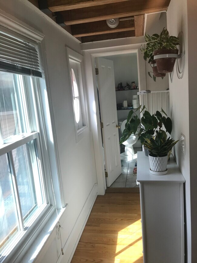 Hall - 1518 Pine St