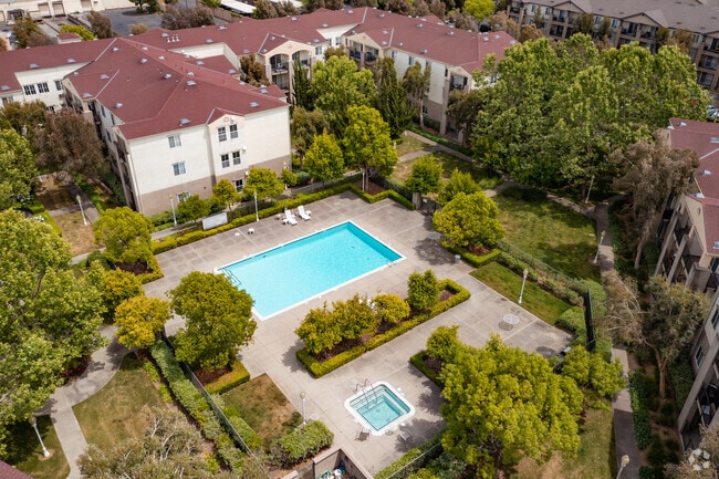 Pool and Jacuzzi - Bay View Vista