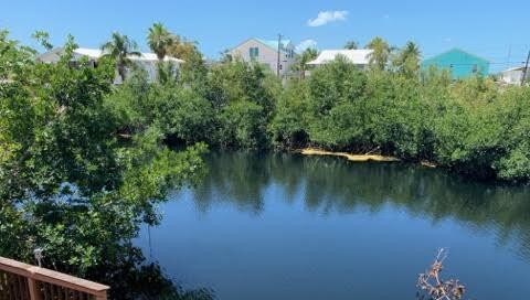 Foto del edificio - 154 Lobstertail Rd