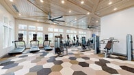 Located at 2420 Medicine Lake Dr in Apopka, Florida, this well-appointed fitness center offers a generously sized, single-floor exercise space designed to accommodate a comprehensive workout experience. The room is defined by its striking architectural details, including soaring vaulted ceilings clad in warm, natural wood planking, supported by exposed beams and illuminated by recessed lighting. Large oversized windows line the walls, flooding the interior with abundant natural light and providing views of the surrounding outdoor landscape. Oversized ceiling fans are positioned throughout to maintain airflow and comfort during workouts.

The floor is covered in a bold, eye-catching pattern of large hexagonal tiles in a muted palette of beige, gray, white, and earth tones, adding a modern, design-forward aesthetic to the space. The facility is equipped with a comprehensive array of Matrix-brand strength machines, treadmills, ellipticals, stationary cycling bikes, cable machines, a dumbbell rack, weight benches, and suspension training equipment. Wall-mounted flat-screen televisions are positioned at multiple points throughout the room for entertainment. Full-length mirrors enhance the sense of openness and allow for proper form monitoring. Glass doors provide access to the exterior, further connecting the fitness space to the outdoors.