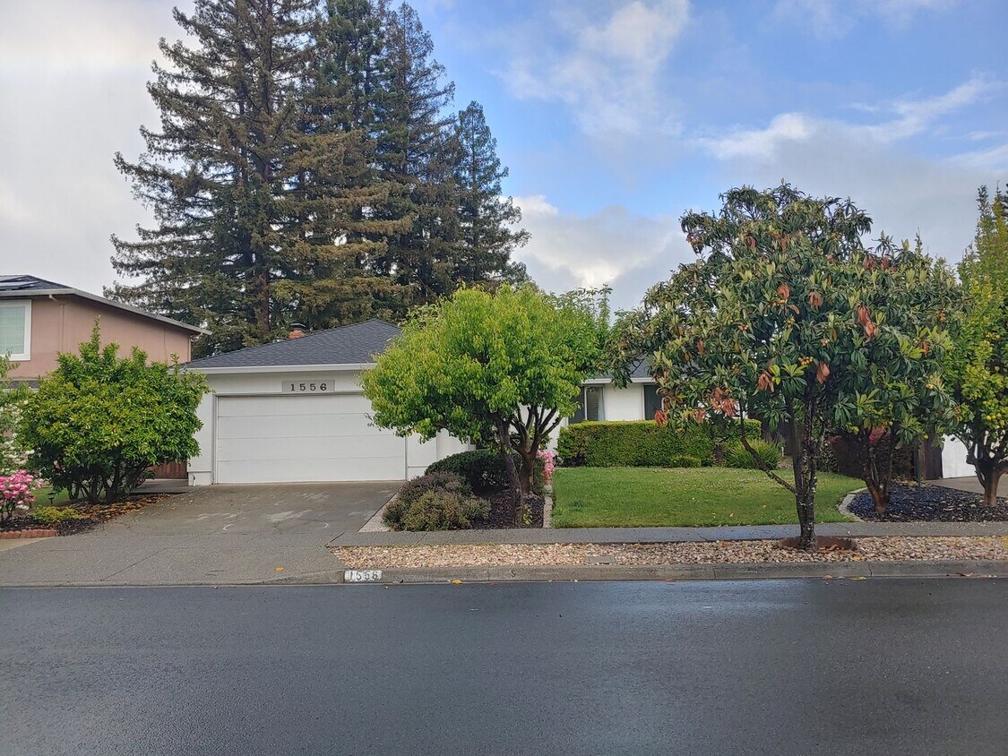 Primary Photo - Beautiful Napa Rental!