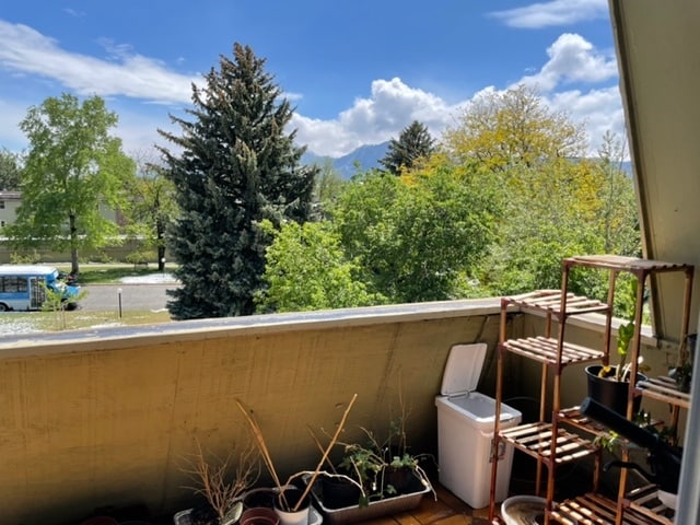 View from Deck - 3150 Iris Ave