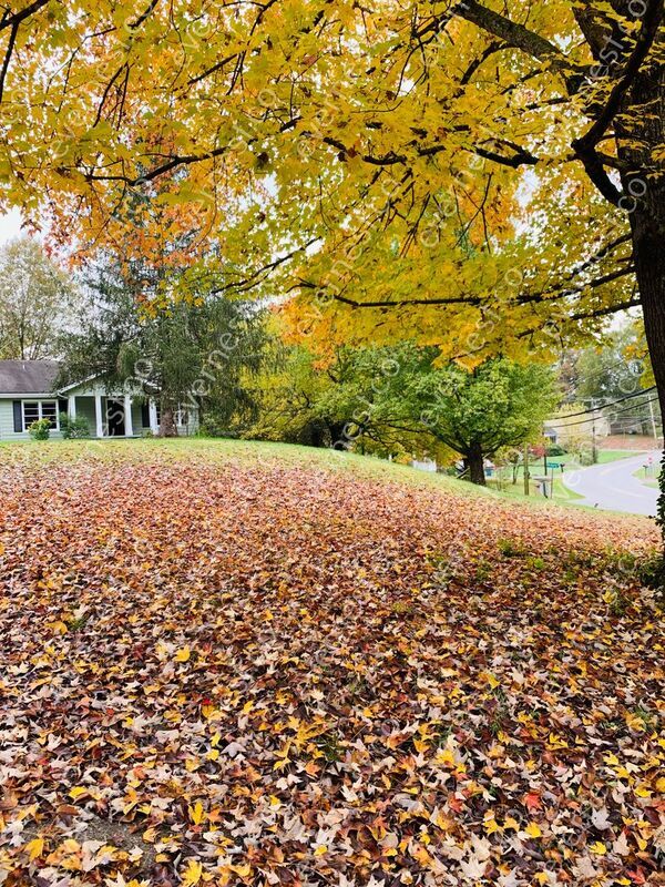 Primary Photo - 307 Lakeview Dr