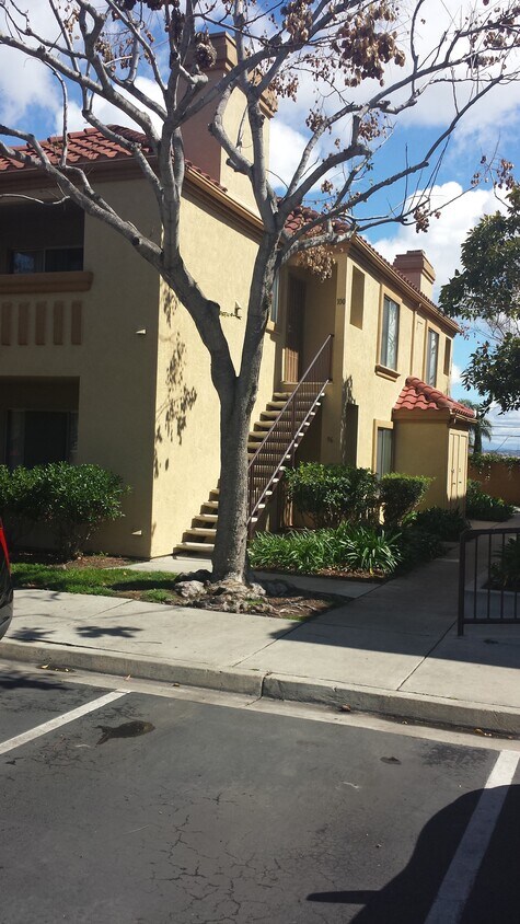 Front lower unit - 2042 Coolidge St