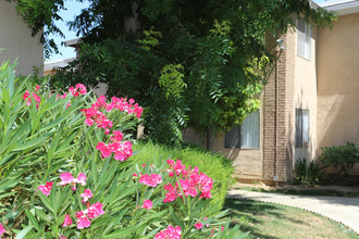 Shadow Springs Apartments Photo