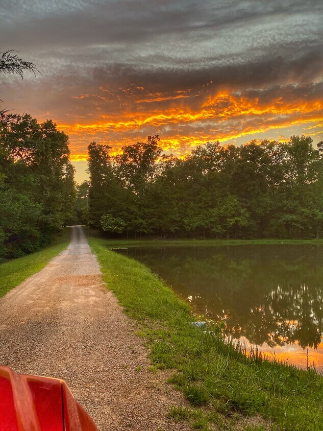 Foto del edificio - Vibrant Way # 3