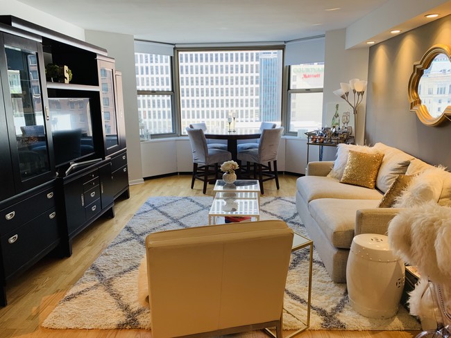 Living room - 535 N Michigan Ave