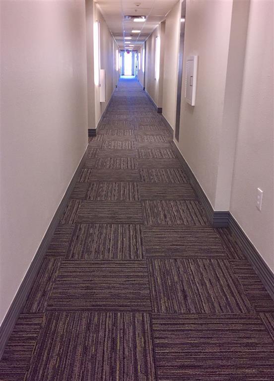 Studio One Apartments Apartments Detroit, MI