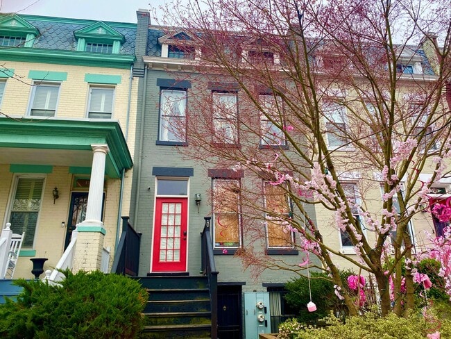 Photo - 1351 A St NE Apartment