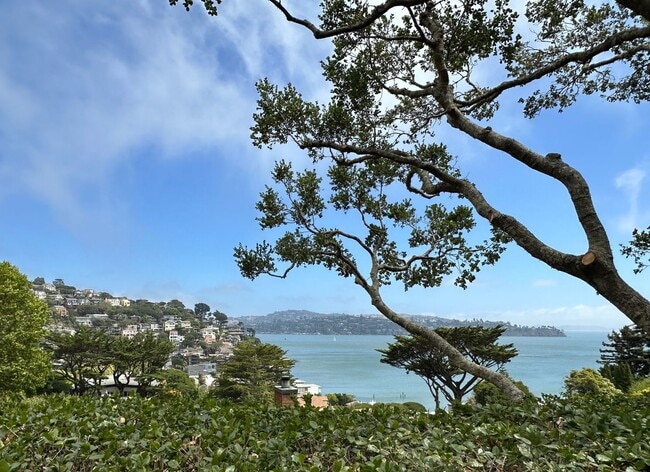 Building Photo - Stunning Sausalito Retreat with Bay Views & Private Meadow