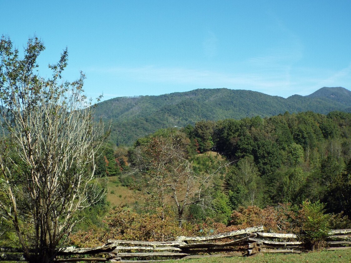 Foto principal - 2 Bed 1 Bath Cabin- All Utilities Included...