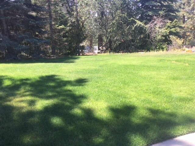 Building Photo - 3+ Bedroom, 3 Bath Available in quiet Spok...