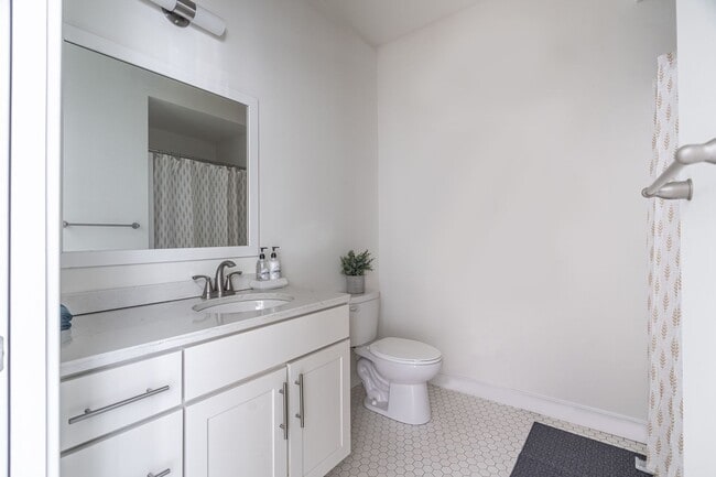 Interior Photo - Luna on Pine