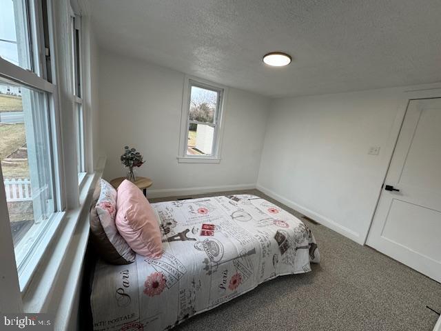 Foto del edificio - 5444 Vera Cruz Rd