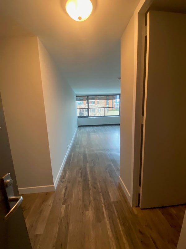 Photo - 1130 S Michigan Ave Apartment