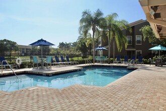 Interior Photo - Coral Falls