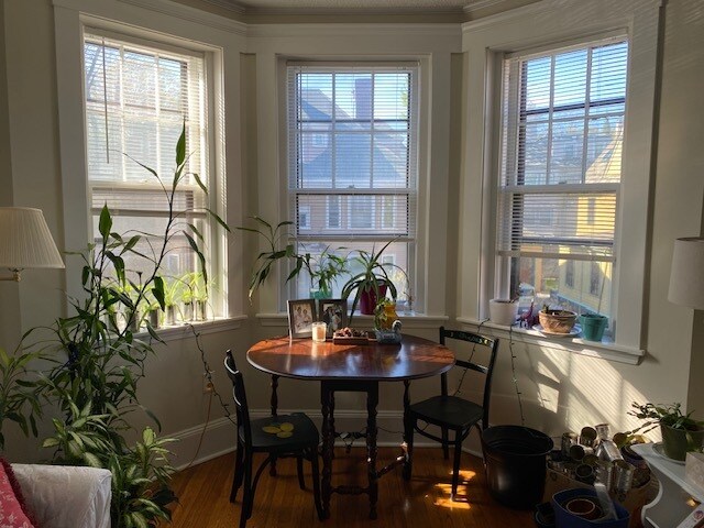 Foto del edificio - 22 Orkney Rd