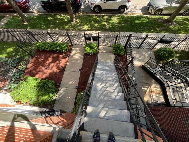 Landscaping - 1318 W Grenshaw St