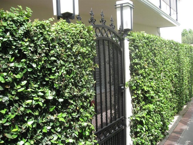 Building Photo - 5121 Ledge Ave