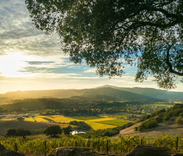 Sonoma