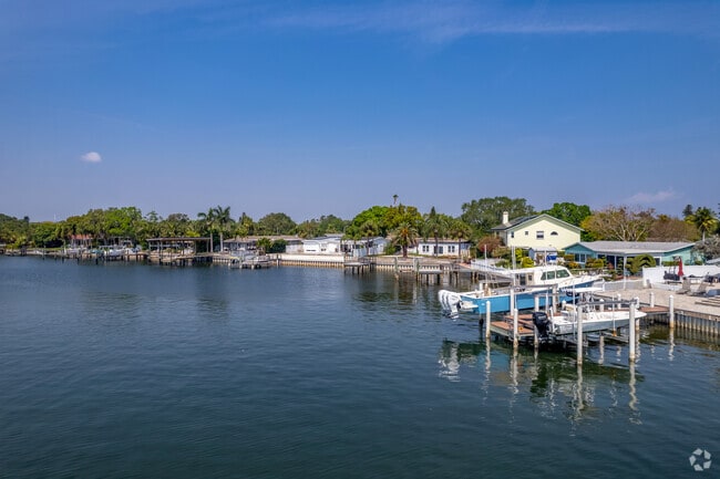 Boats Docked on the Water