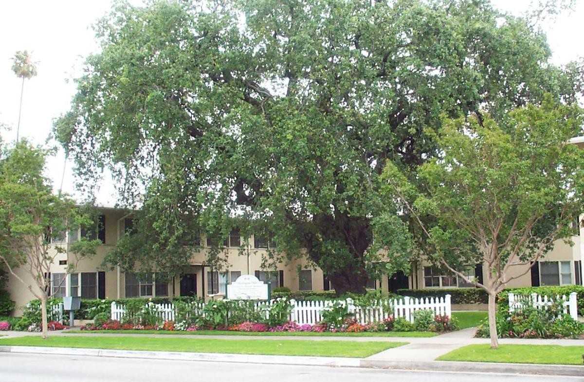 Primary Photo - 1618 Huntington Dr
