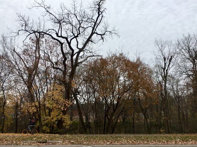 View from front porch. - 1622 -1624 Orange St.