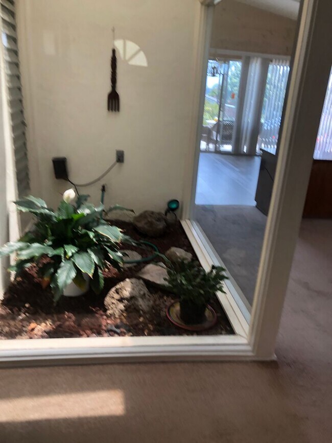 Building Photo - Spacious Single Story 4 bed 2 bath home in...
