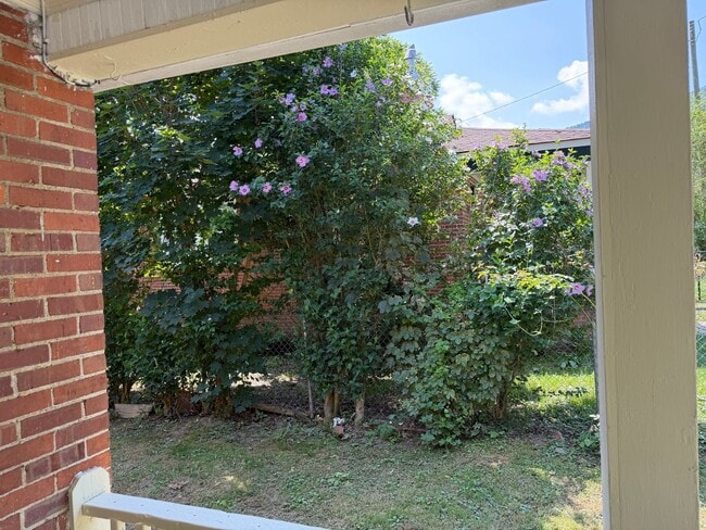 Building Photo - Swannanoa - Newly Renovated Beacon Village Cottage