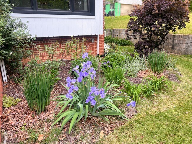 Photo - 5602 Hawthorne St House