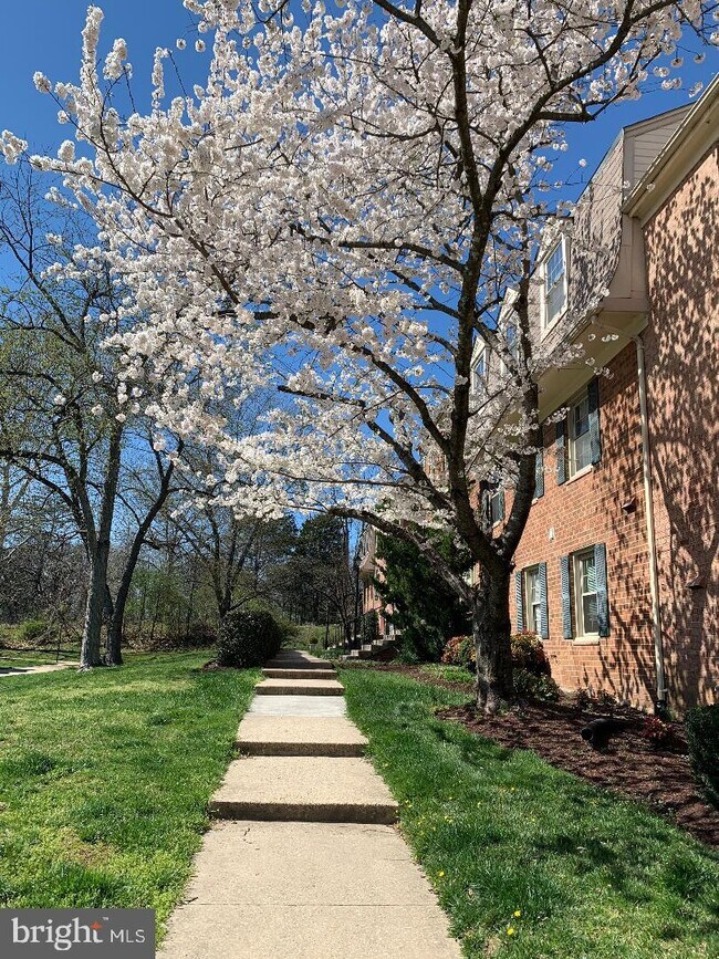 Foto del edificio - 5972 Westchester Park Dr