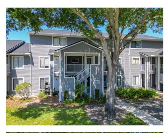 Apartments For Rent in Union Park FL 180 Rentals