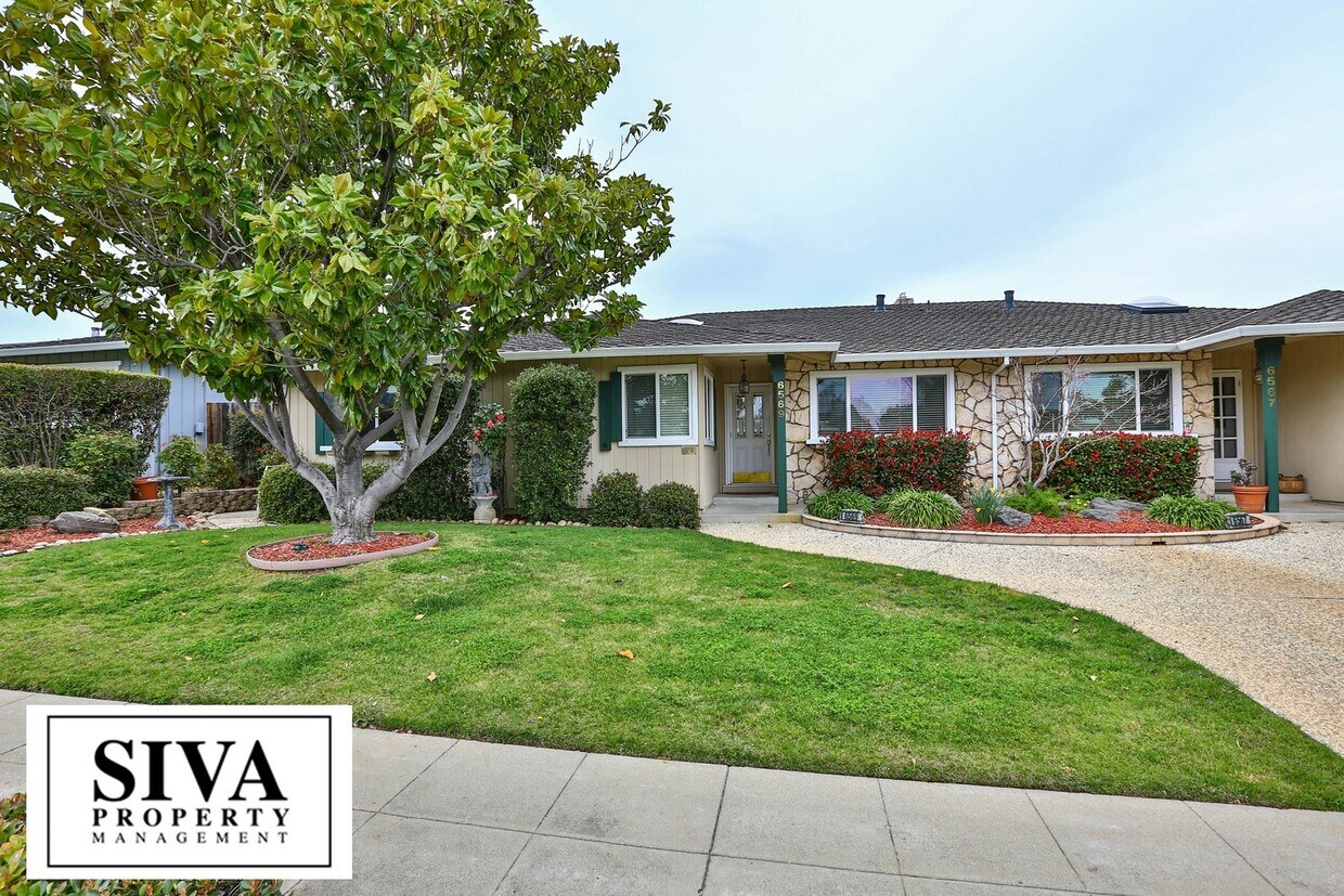 Almaden Beauty - Almaden Beauty