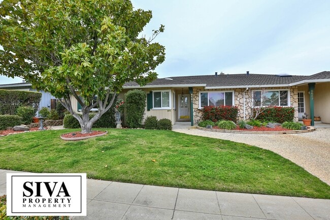 Almaden Beauty - Almaden Beauty House
