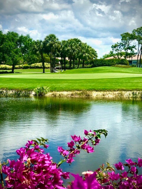 Vistas perfectas desde la terraza al sexto hoyo y al lago. - 9231 Spring Run Blvd