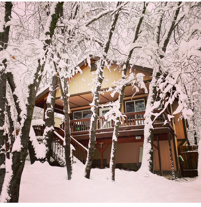 Building Photo - 309 Forest Cir