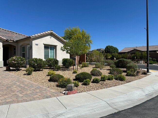 Building Photo - 2532 Ballatore St