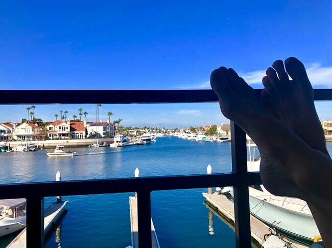 Foto del edificio - 3289 Moritz Dr