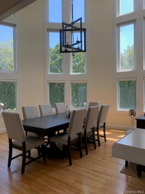 Foto del edificio - 45 Romana Dr